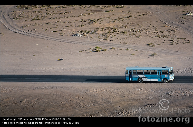 desert bus