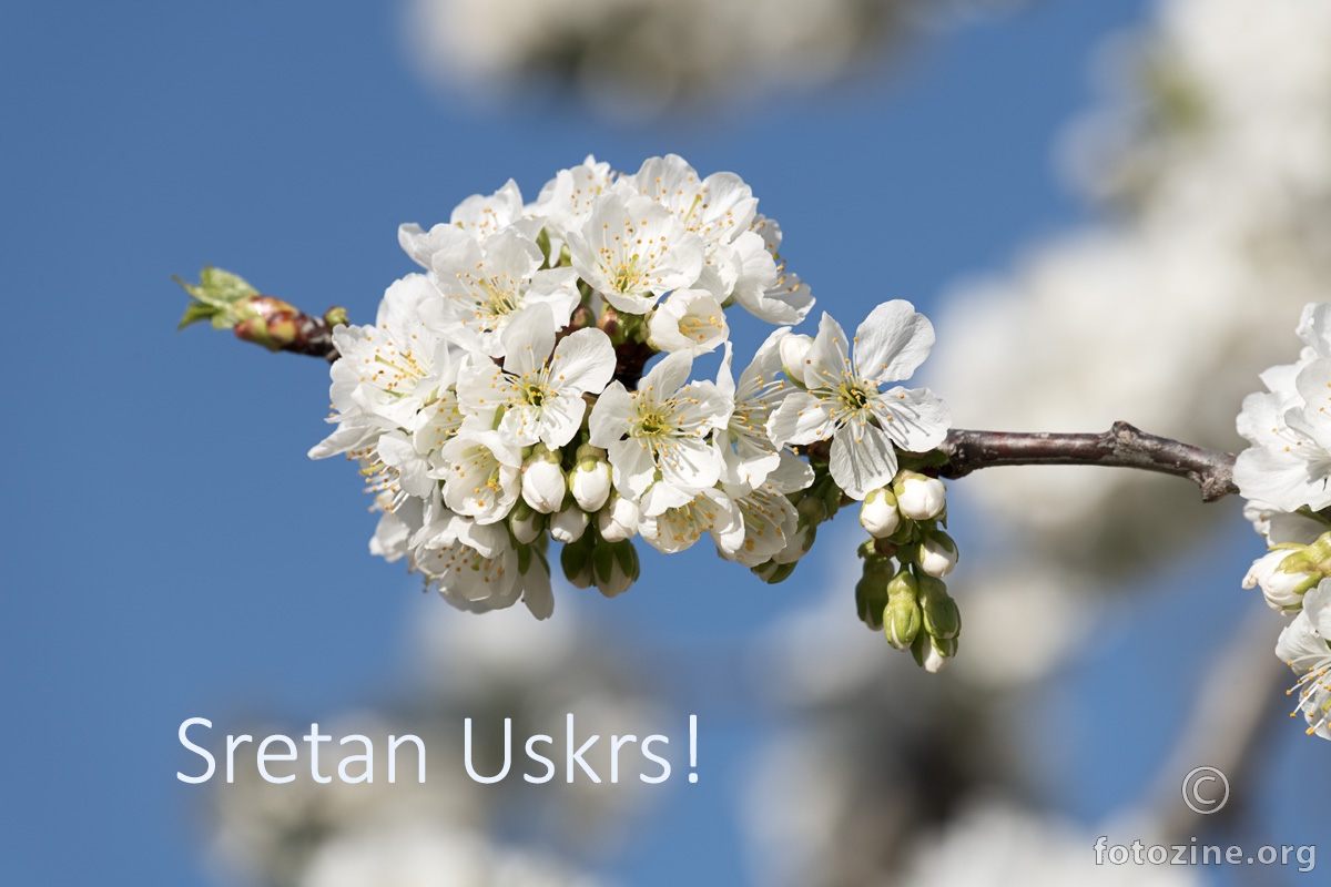 Sretan Uskrs!