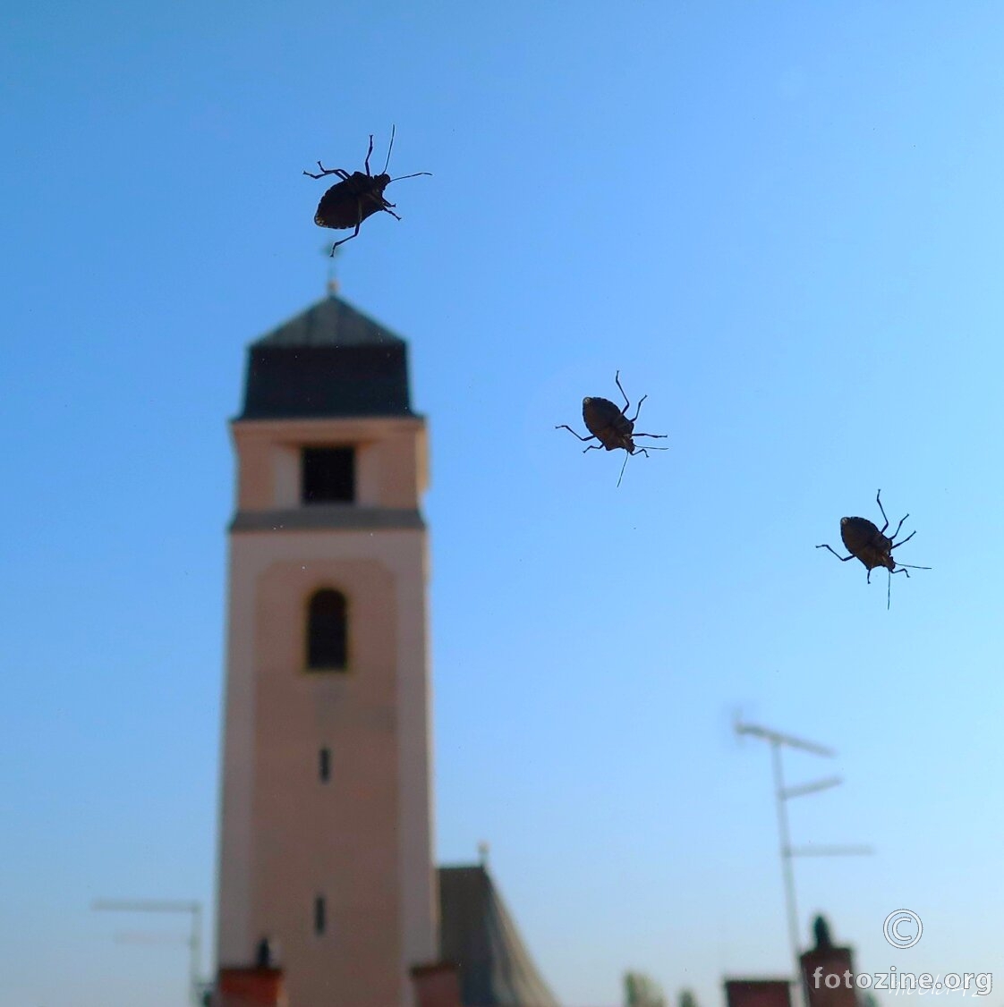 najezda ... s vanjske strane prozora ...