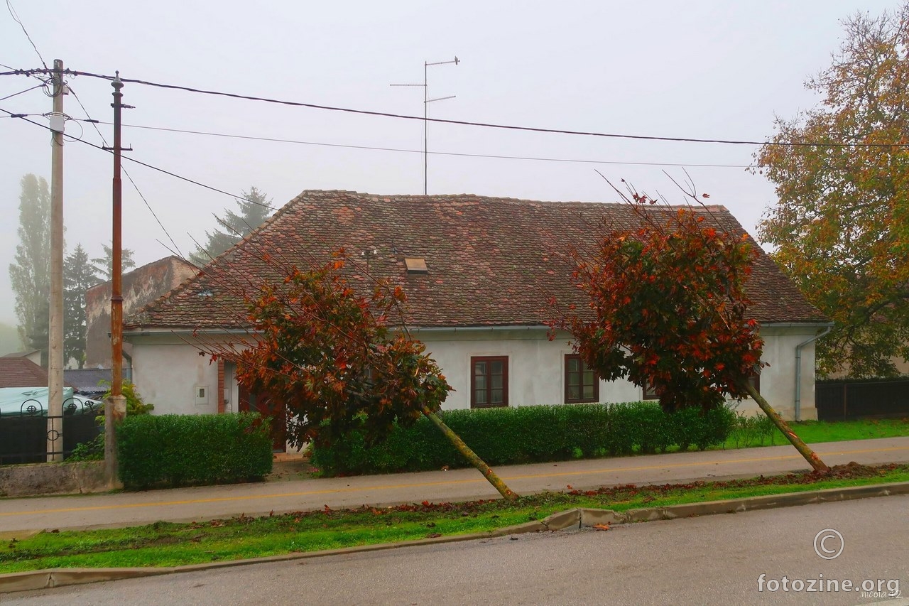 kad se dvije /magle/ slože ...posljedica