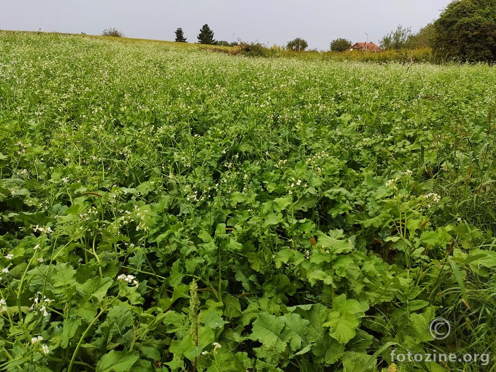 prošlo vrijeme..