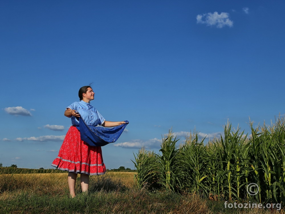 Moja Vojvodina
