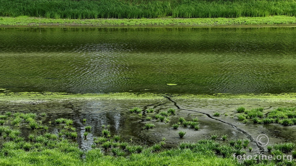 Simple green