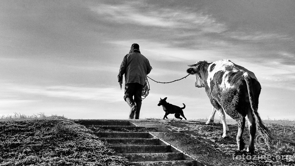 Stairway to Heaven