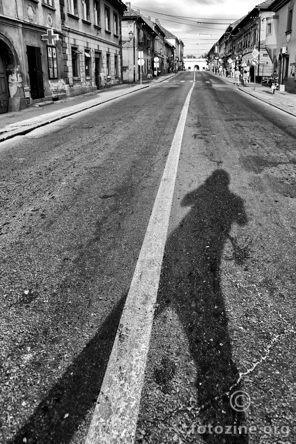 La linea