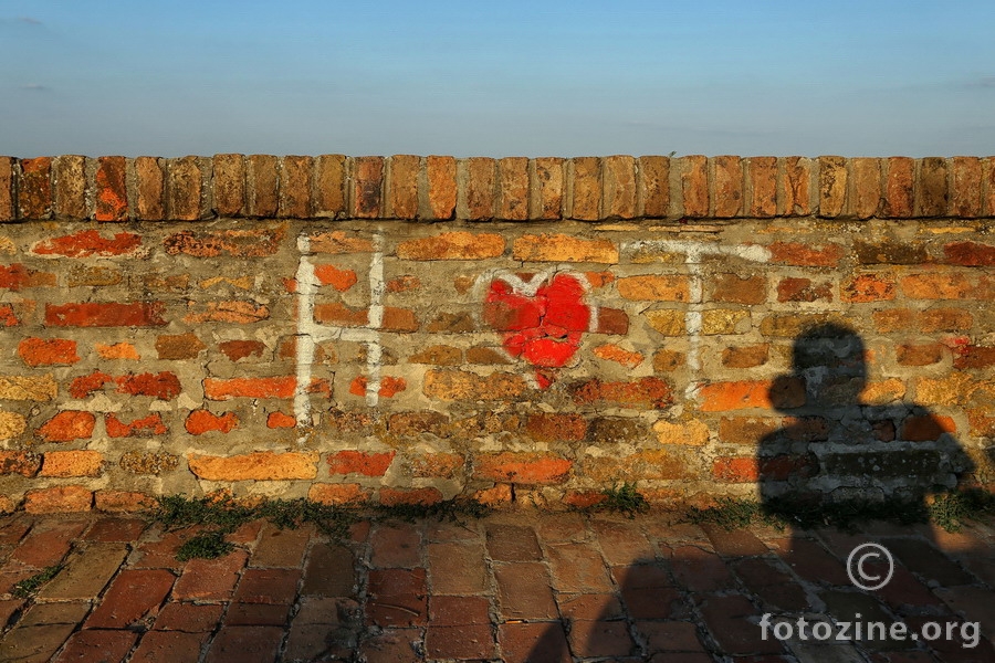 Srce fotografa