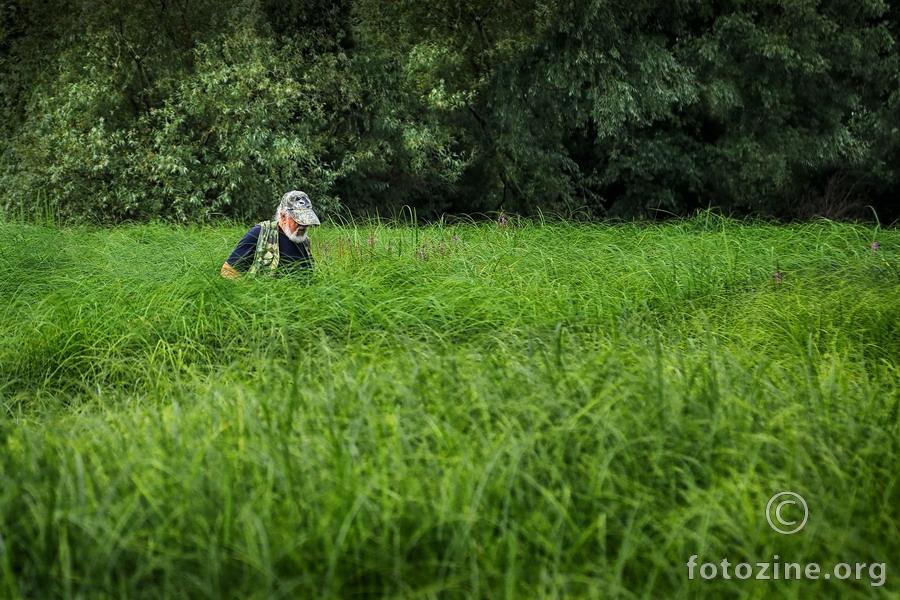 Green life