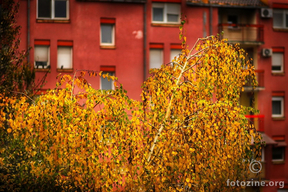 Jesenje boje grada