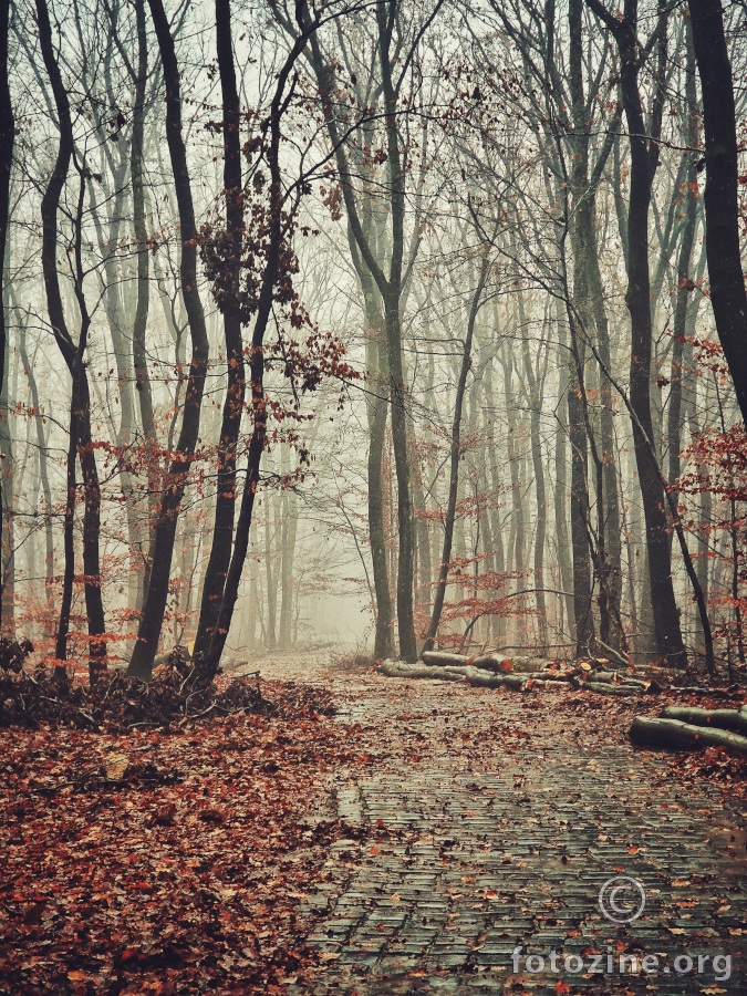 Spomen park Dotrščina 4