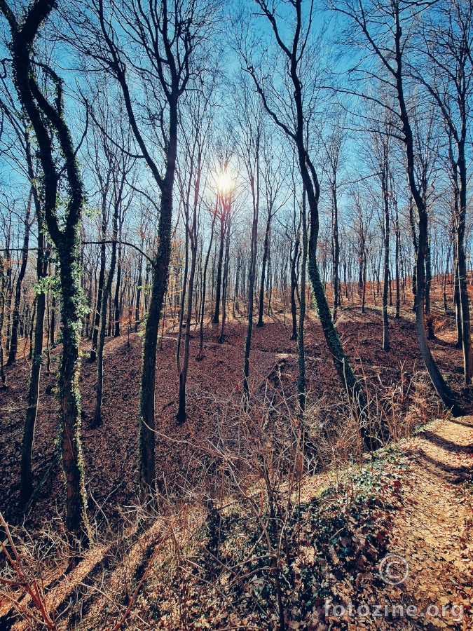 Spomen park Dotrščina 5