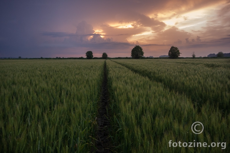 Slatina