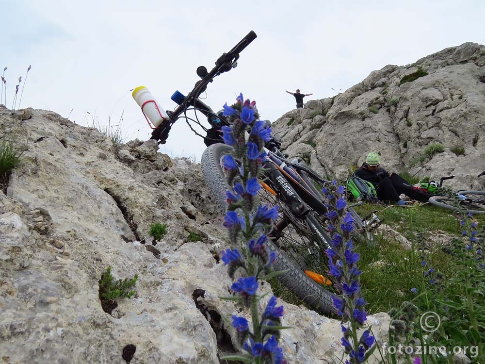 Zaslužen odmor na Majstorici ...