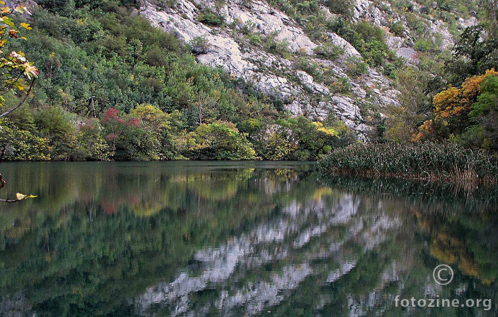 cetina 