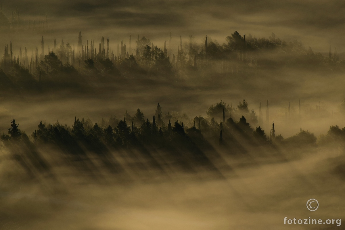 Sjene u magli