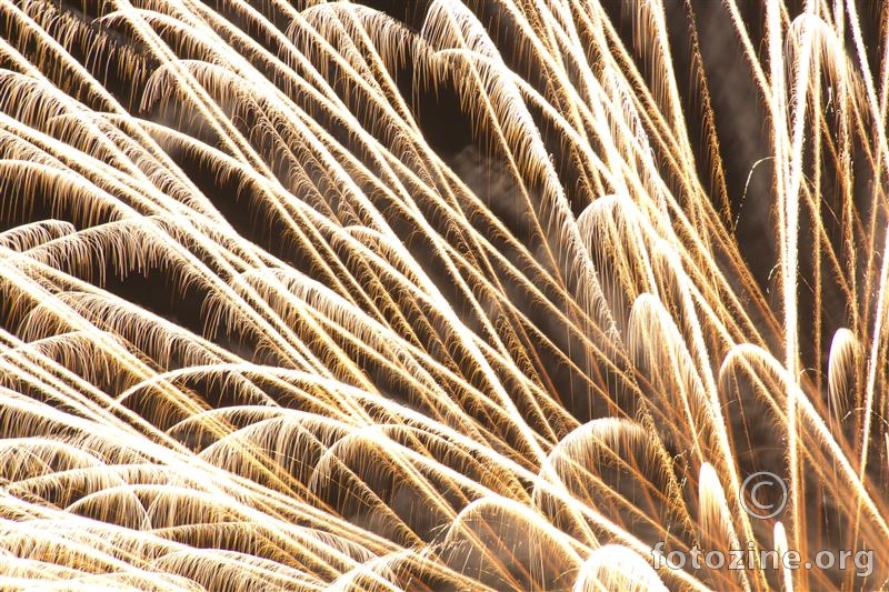 Firework flower