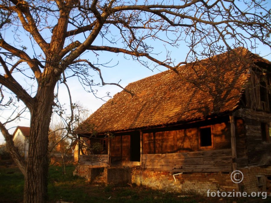 napuštena