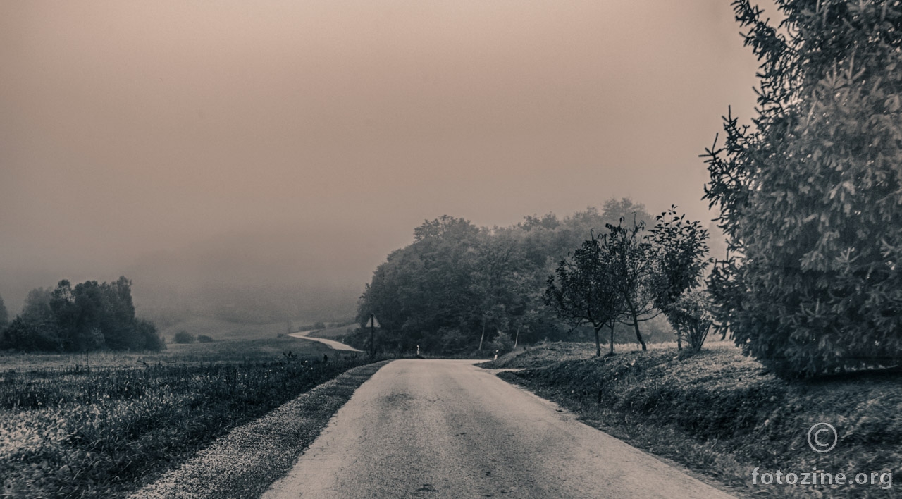   Cesta u maglu