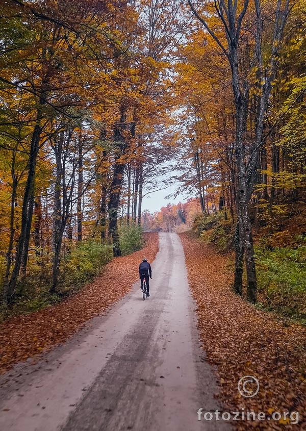 Žumberački đir