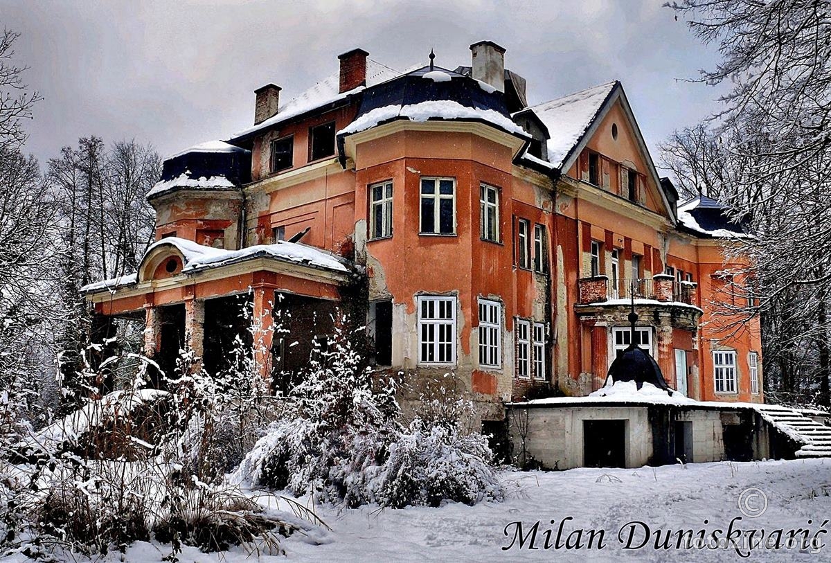 dvorac Zwilling 