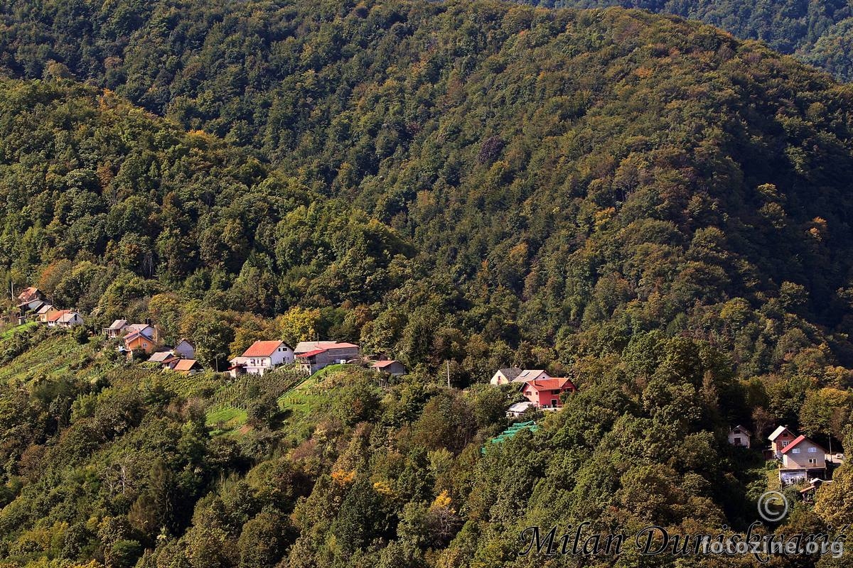 Veliki Lipovec