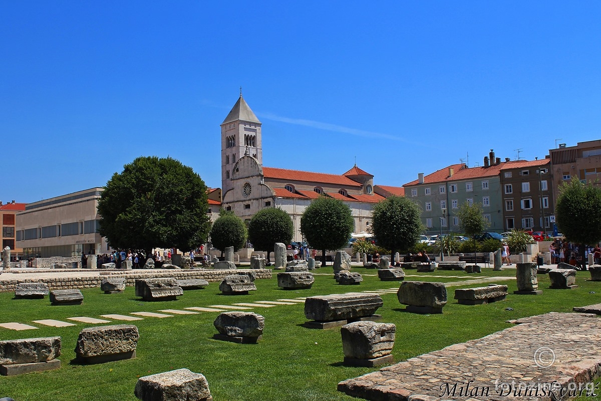 Zadar, Zeleni trg