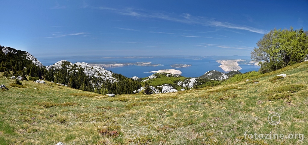 pogled...