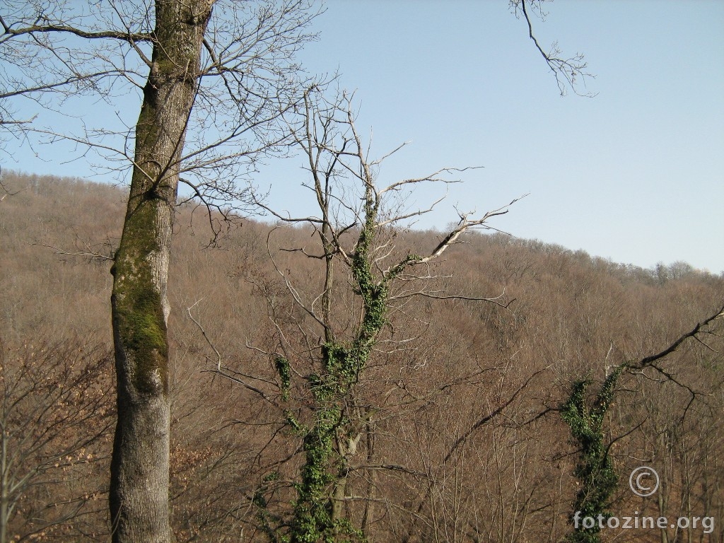 foto br. 748727