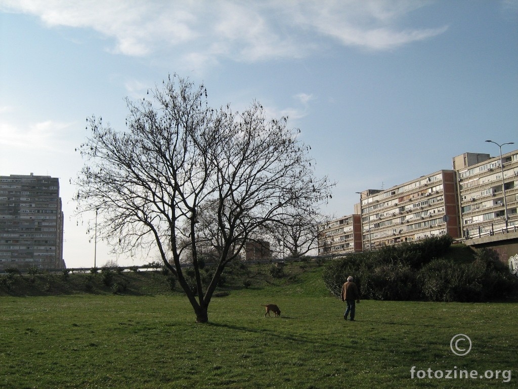 foto br. 748858