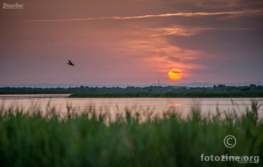 camargue 