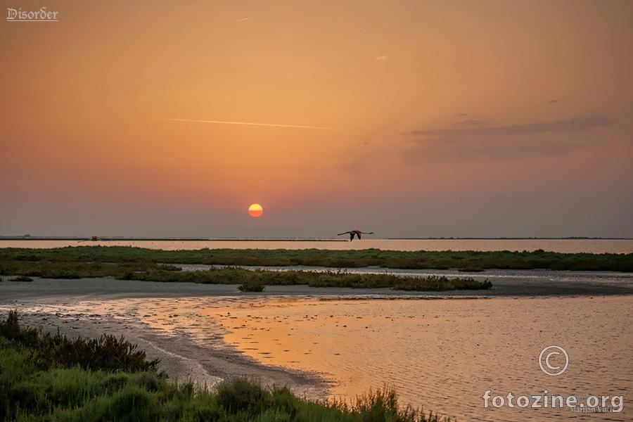 camargue 