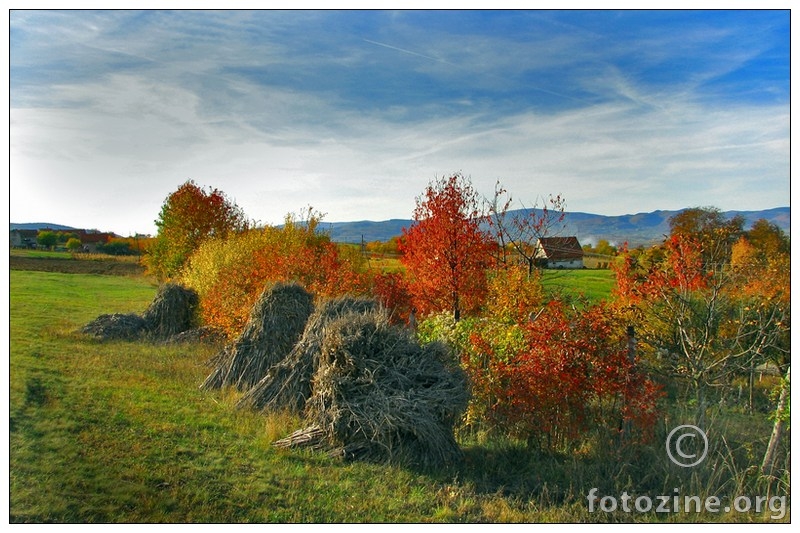 ružičasti pejzaž II