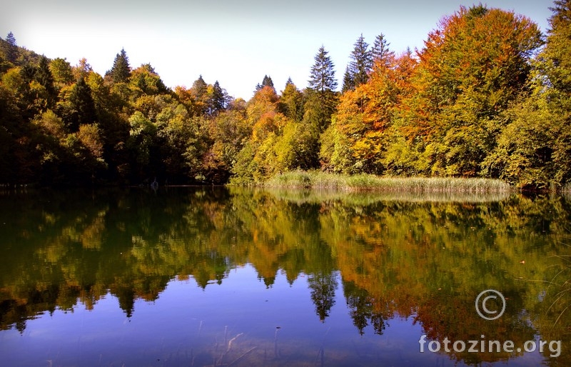 refleksija jeseni