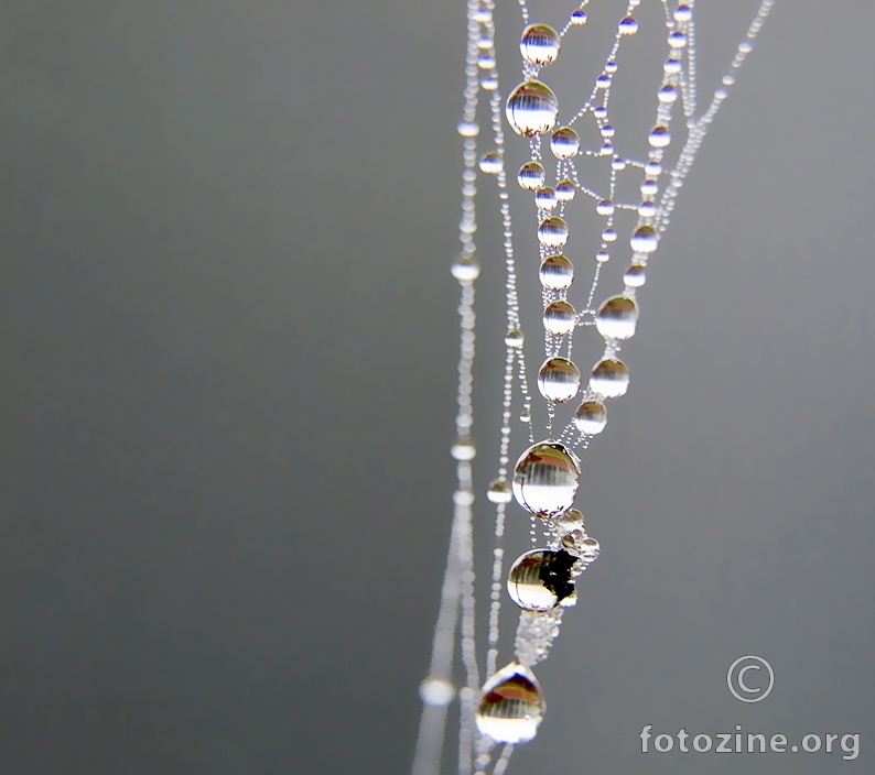 Fairy Necklace