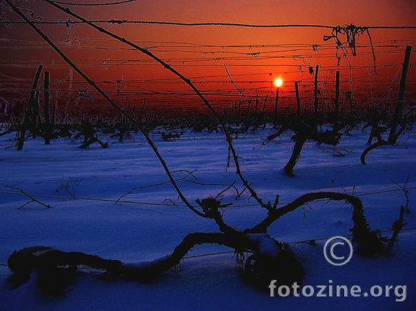 Winter sunset