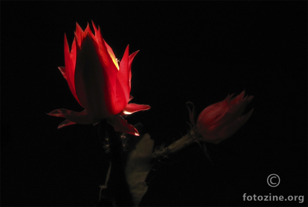 Glowing inside