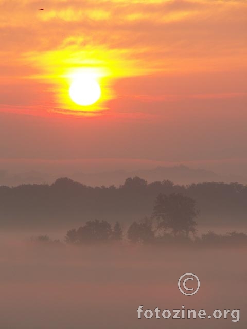 zlatno jutro