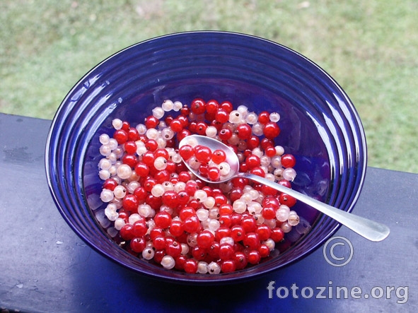 danas ću podijeliti...