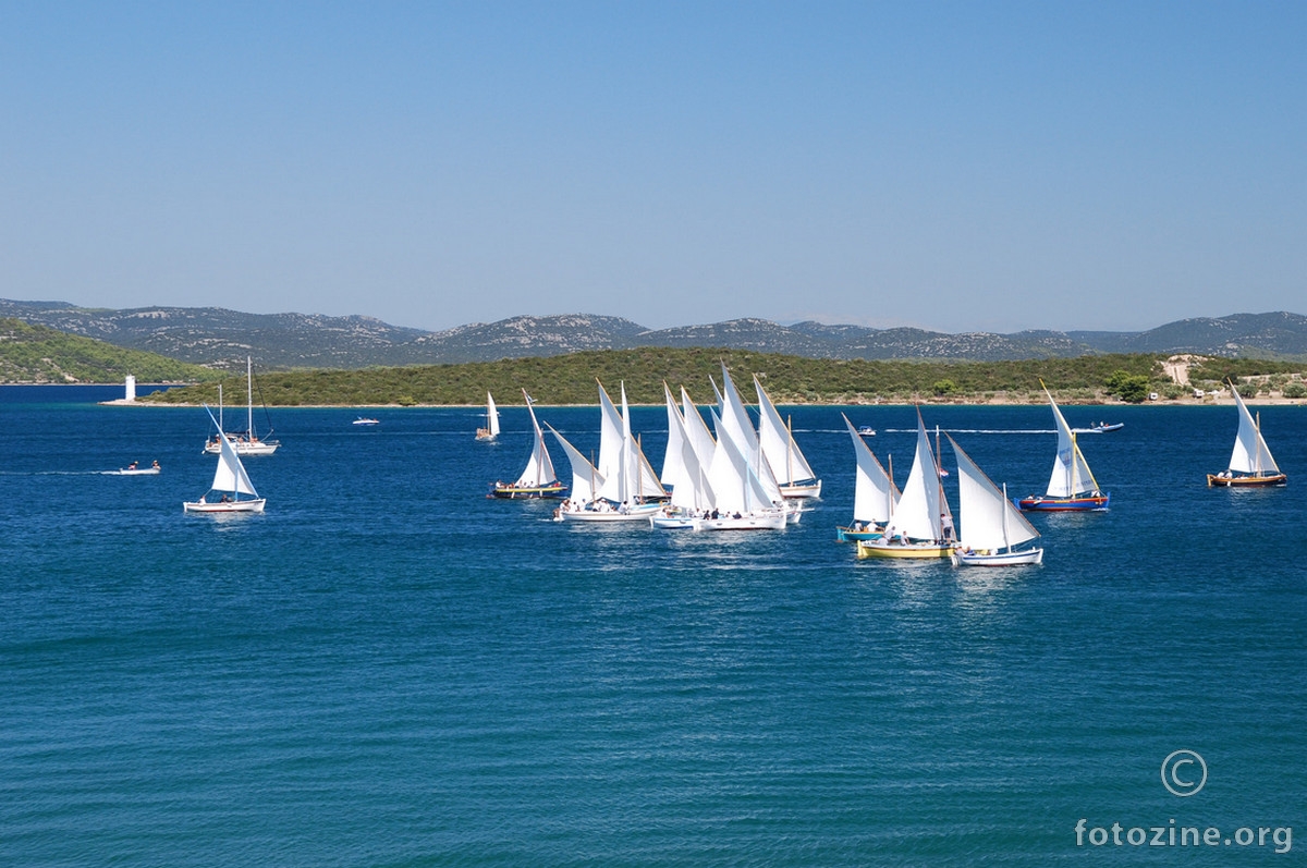 Betinska regata