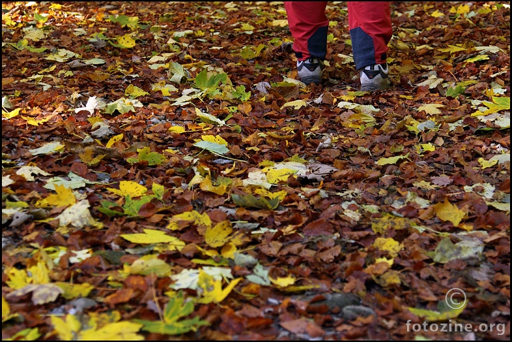 <i>sl. br. 14166</i>