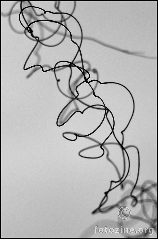 Linea