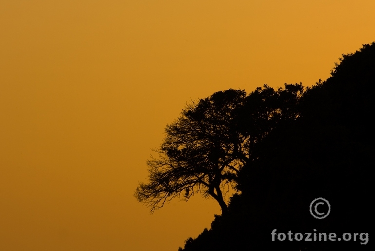 Afrika