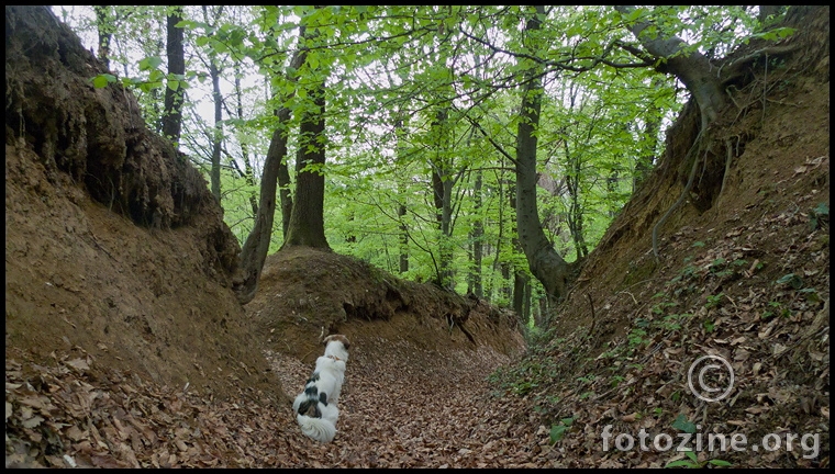 kad moj park nema klupice :)