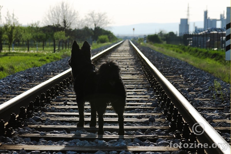 Selo ili grad pitanje je..