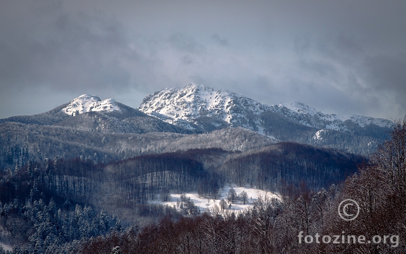 RisNjak