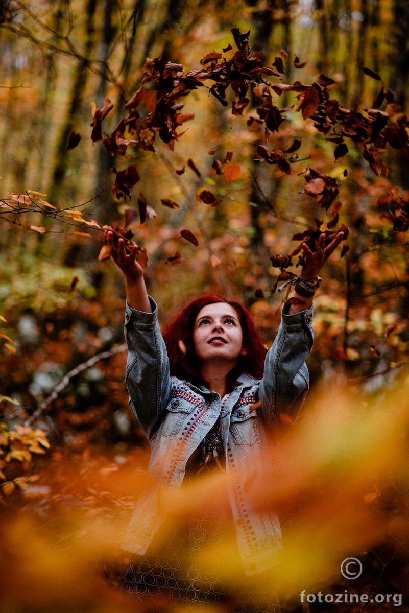Master of leaves