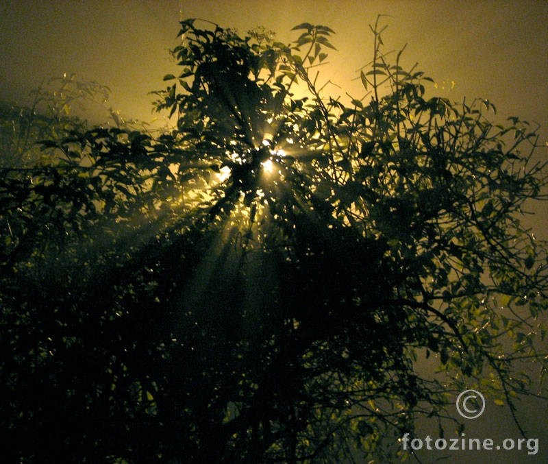 Mystify