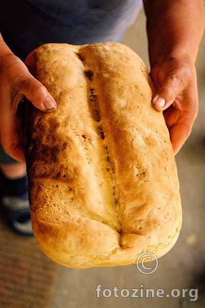 domaći kruh