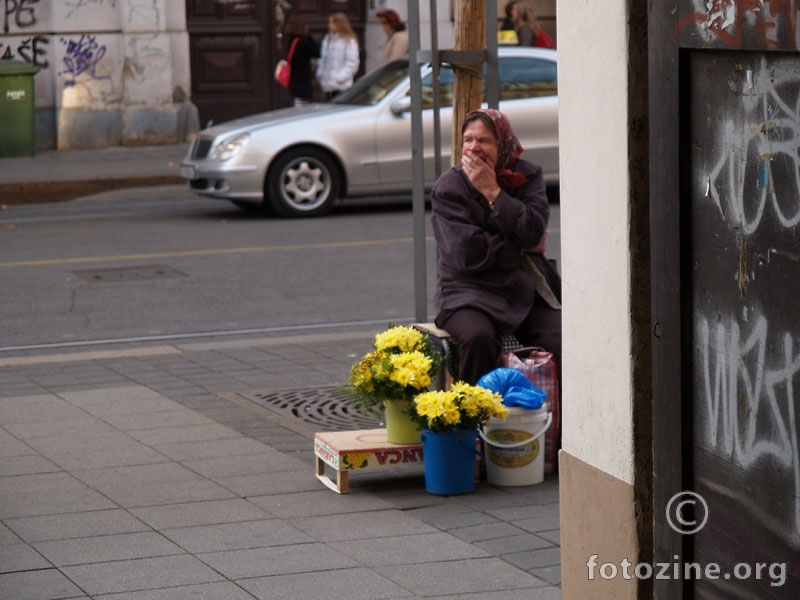 luksuz ili san