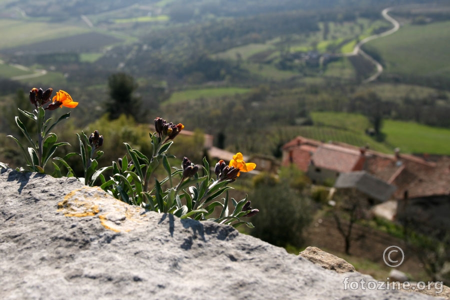 Pogled sa zidina