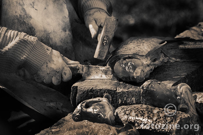 The Butcher